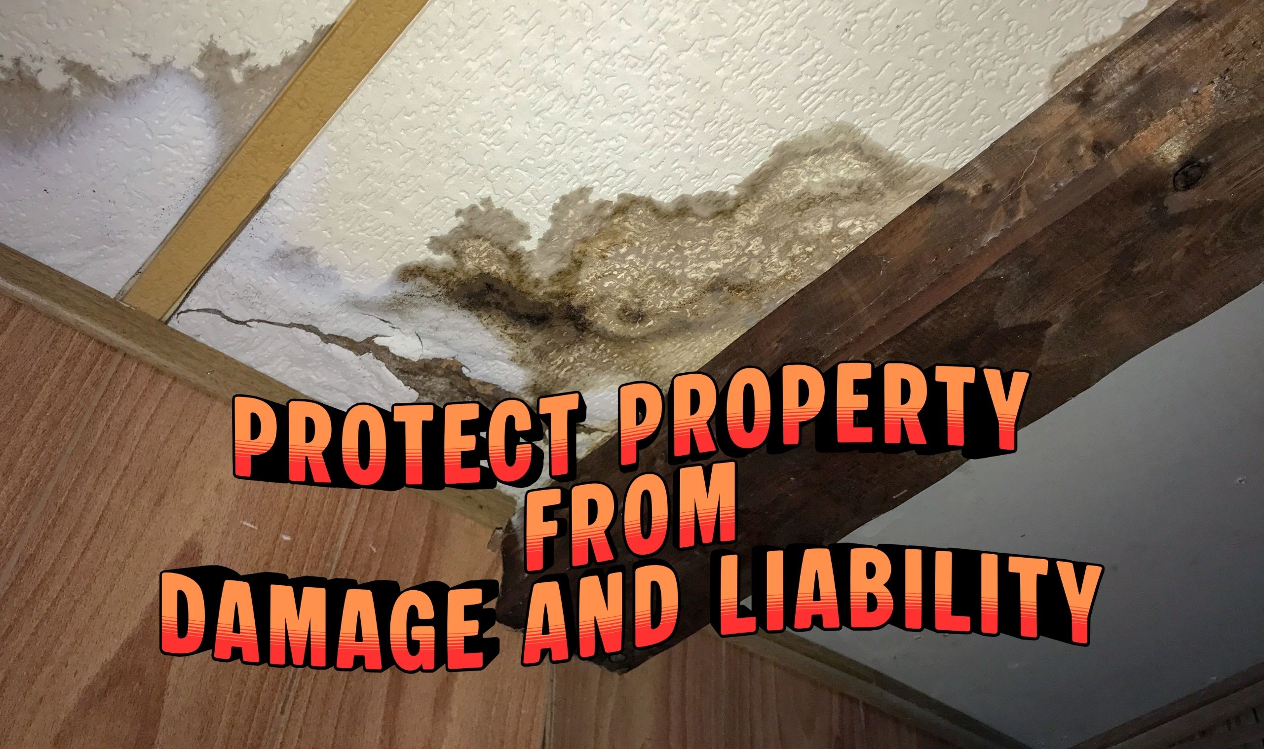 How to Protect Your Rental Property From Damage and Liability